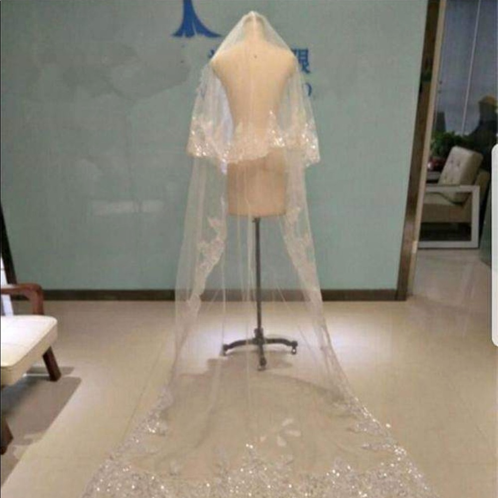 Sparkling sequin and lace appliqué cathedral veil
